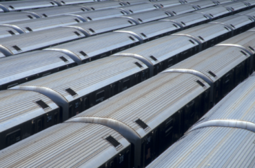 Poznaj nowy wariant gatunku