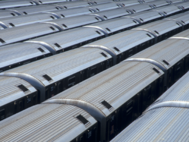 Poznaj nowy wariant gatunku